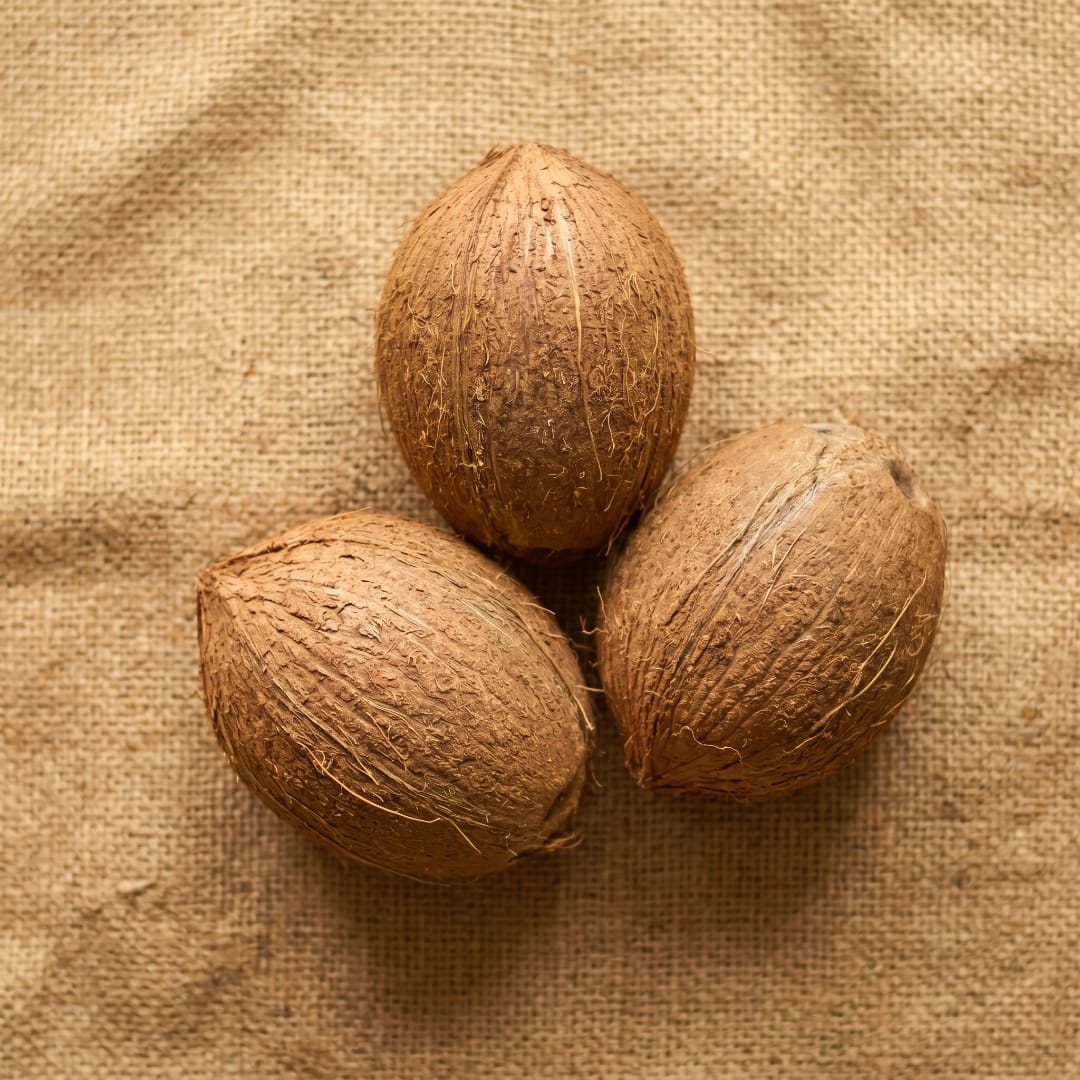 Commercial wholesale mature coconuts at Ramnad Agro godown