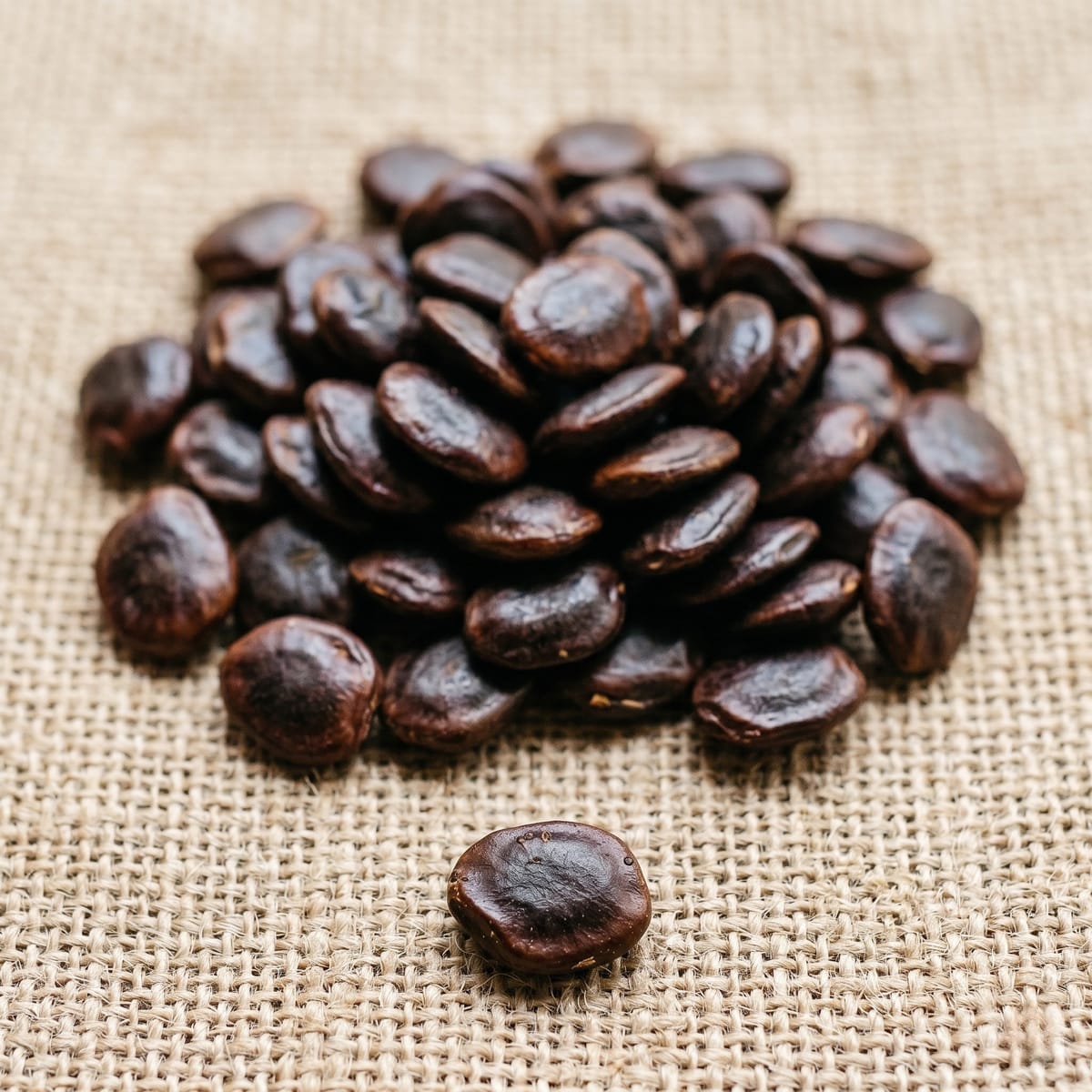 Industrial tamarind seeds wholesale Ramanathapuram
